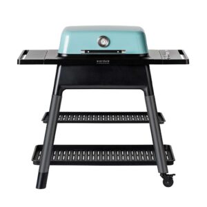 Everdure Gasgrill Force mint mit Doppelboden