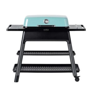Everdure Gasgrill Furnace Mint mit Doppelboden